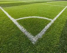 袁琦琦力压,葛曼棋,肌肉力量助,QianYi,Sports,千亿体育,体育直播,体育赛事,APP下载,官方网地址