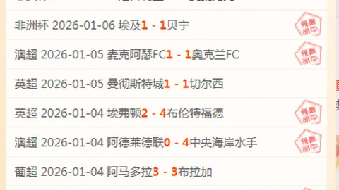 胜利力促加布里埃尔加盟，签下2000万欧税后高薪协议